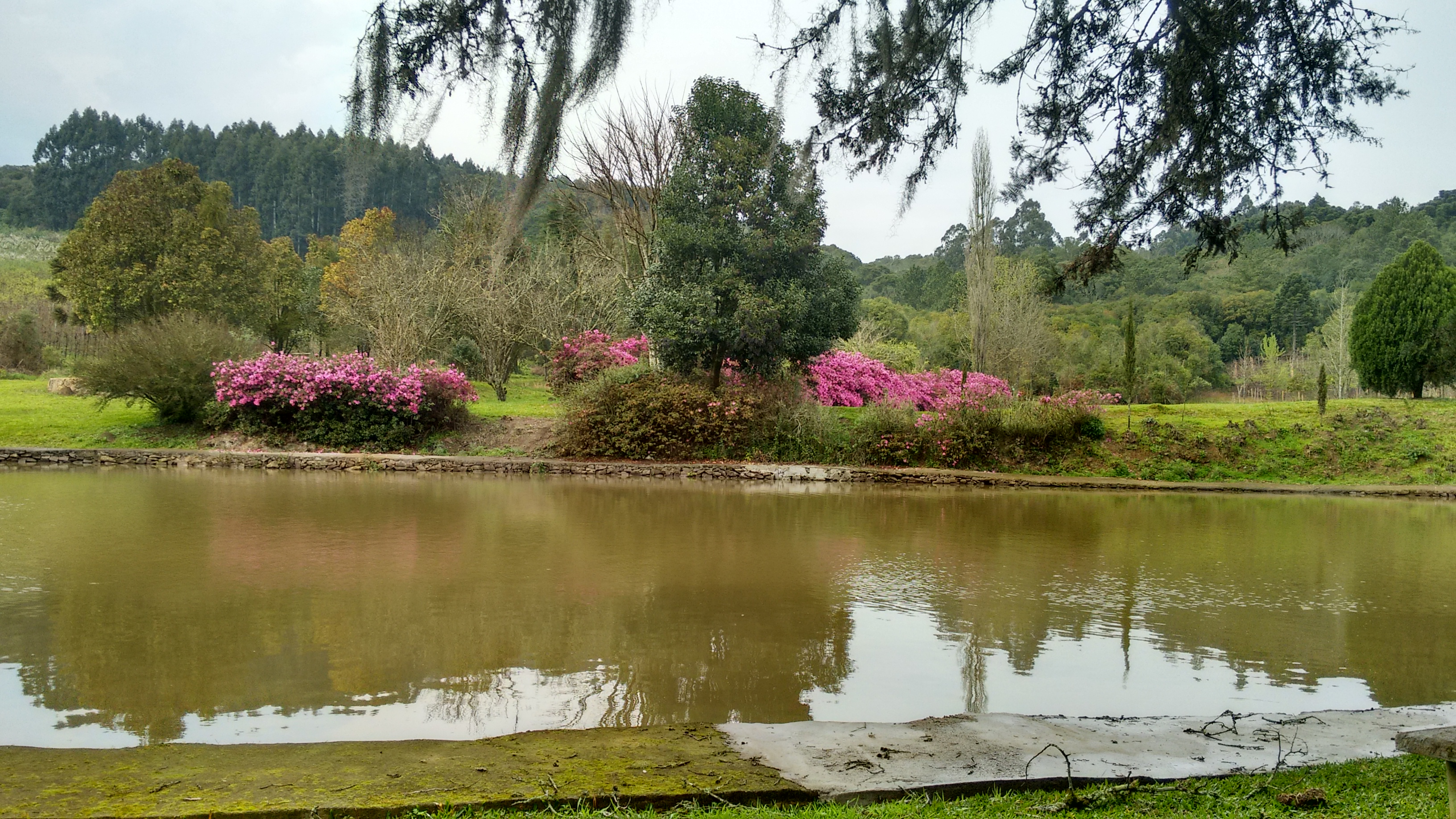 lagoa Erotides